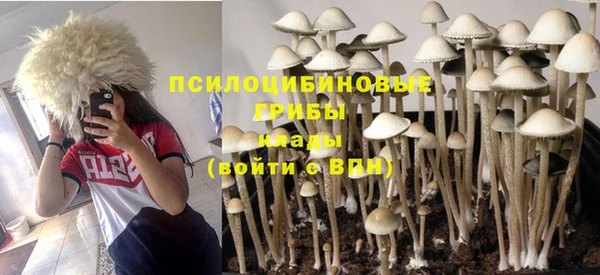 герыч Арсеньев