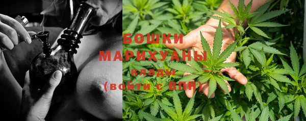 герыч Арсеньев